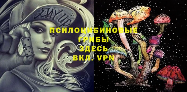 таблы Осташков
