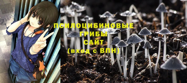 спиды Алексин