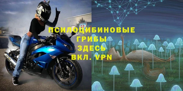круглые Осинники