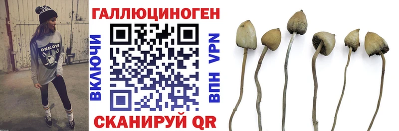 МЕГА зеркало  Южно-Сухокумск  Псилоцибиновые грибы Magic Shrooms  где купить  