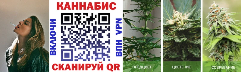 наркошоп  Южно-Сухокумск  Бошки марихуана SATIVA & INDICA 